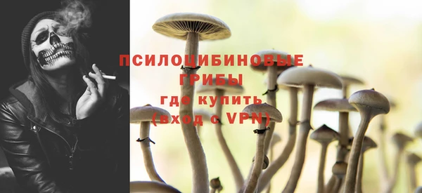 сатива Абаза