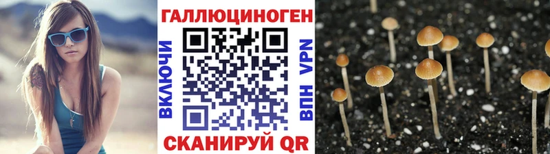 Псилоцибиновые грибы Cubensis Лиски